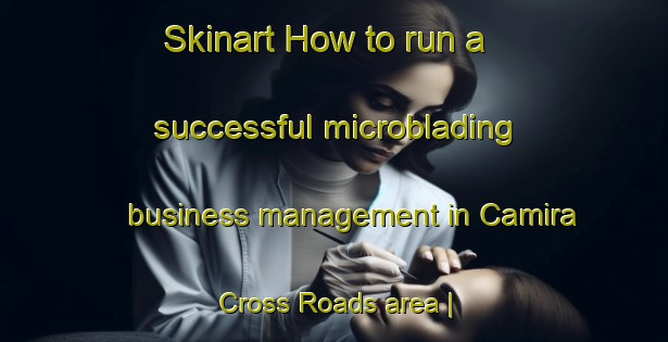 Skinart How to run a successful microblading business management in Camira Cross Roads area | MicrobladingTraining | MicrobladingClasses | SkinartTraining-Ireland